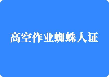 操比插比高空作业蜘蛛人证